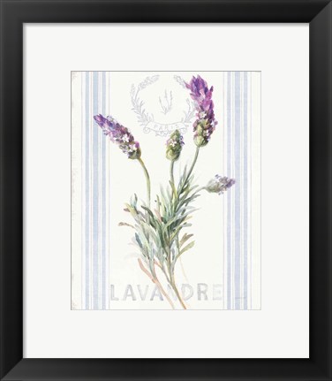 Framed Floursack Lavender II Print