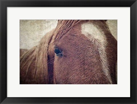 Framed Dew Lashes Print