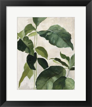 Framed Tropical Study II Print