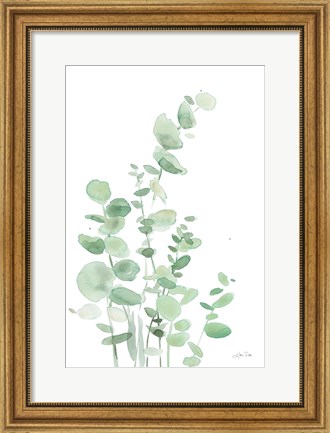 Framed Eucalyptus I Print