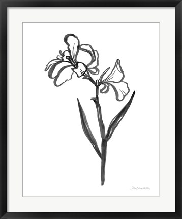 Framed Ink Flower II Print