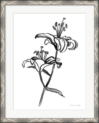 Framed Ink Lilies I Print