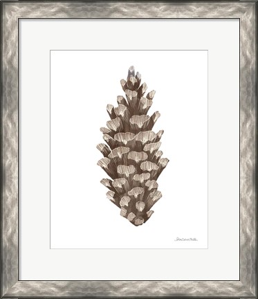 Framed Peace and Joy Pinecone Print