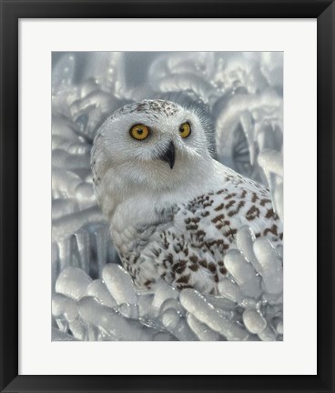 Framed Snowy Owl Sanctuary Print