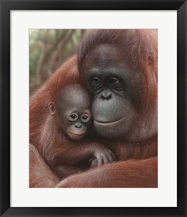 Framed Orangutan Mother and Baby Print