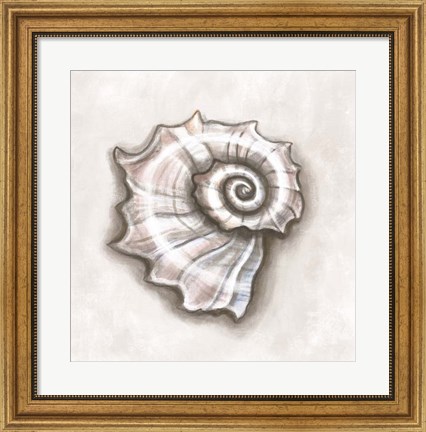 Framed Shell I Print