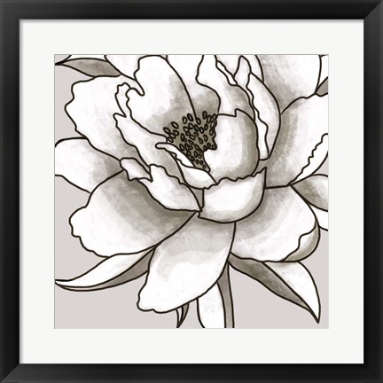 Framed Peony I Print