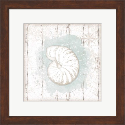 Framed Calming Coastal Shell Print