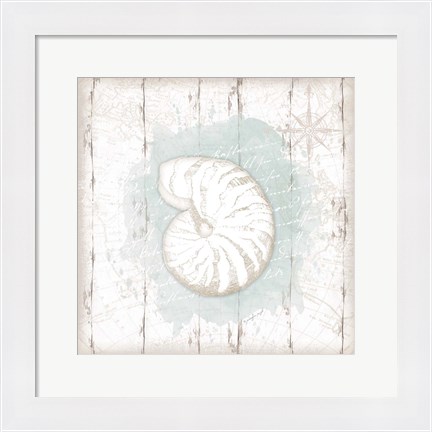 Framed Calming Coastal Shell Print