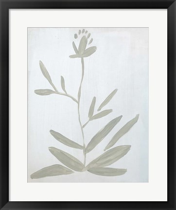 Framed Flower on White Print