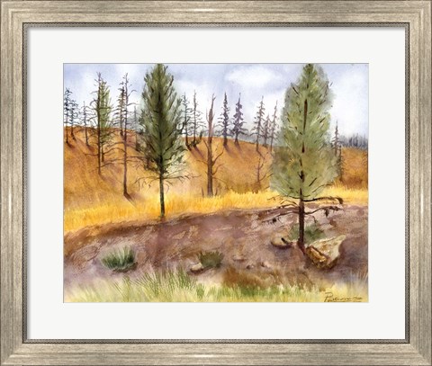 Framed Lodge Landscape Print