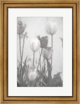 Framed Tulips III Print