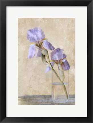 Framed Blue Iris Stem Print