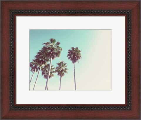 Framed Palms Against The Evening Sky Print