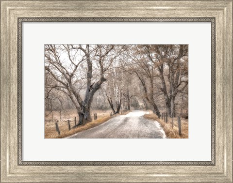 Framed Late Afternoon Walk Print