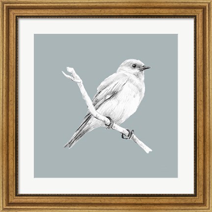 Framed Bird Study on Blue I Print
