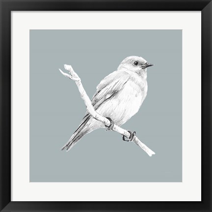 Framed Bird Study on Blue I Print