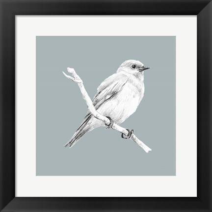 Framed Bird Study on Blue I Print