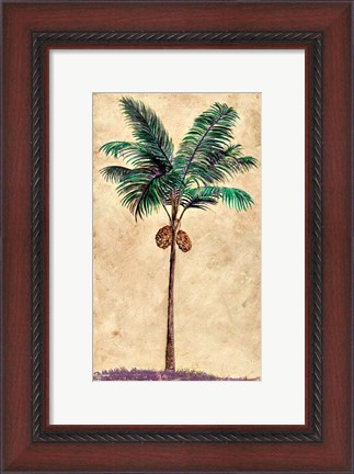 Framed Coconut Tribal Palm II Print