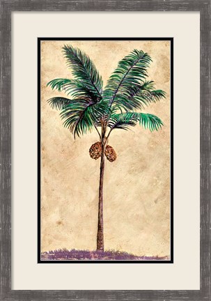 Framed Coconut Tribal Palm II Print