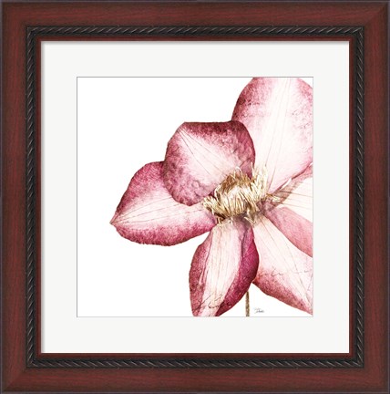 Framed Rouge Plum Flowers I Print