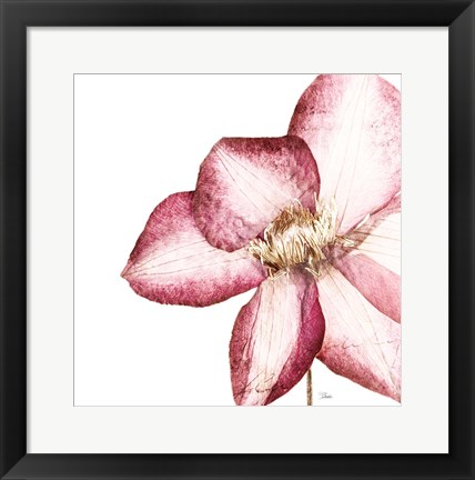 Framed Rouge Plum Flowers I Print