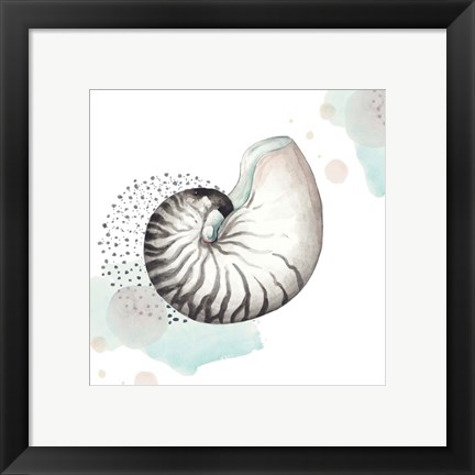 Framed Turquoise Ocean Nautilus Print