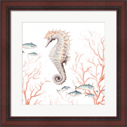 Framed Seahorse On Coral Print