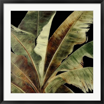 Framed Uraba Palm on Black I Print