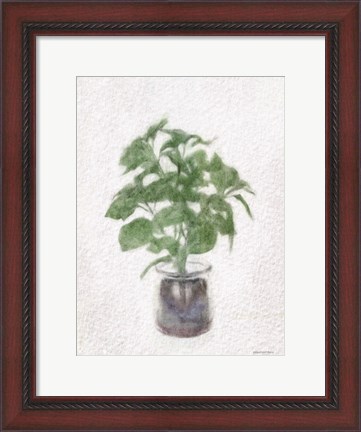 Framed Basil Jar Print