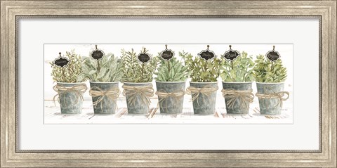 Framed Herbs in a Row Print