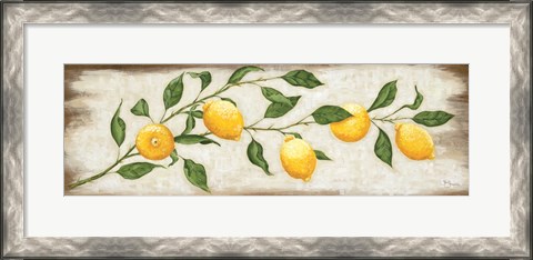 Framed Lemon Branch Print