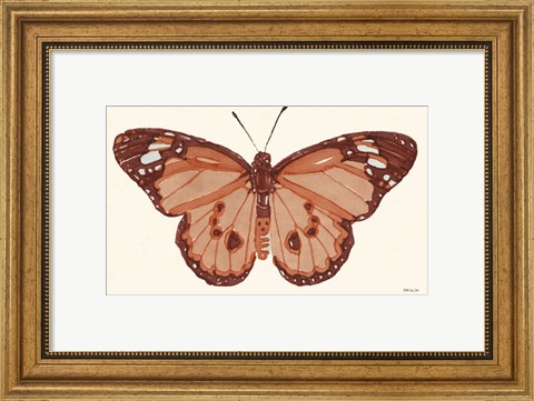 Framed Papillon 3 Print