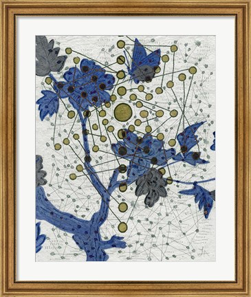 Framed Chakra Web with Butterfly Print