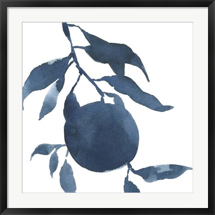 Framed Indigo Oranges III Print