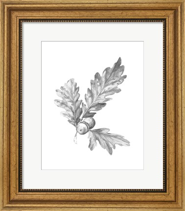 Framed Oak Leaf Pencil Sketch I Print