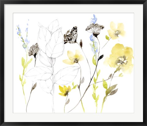 Framed Wild Flowers &amp; Contour I Print
