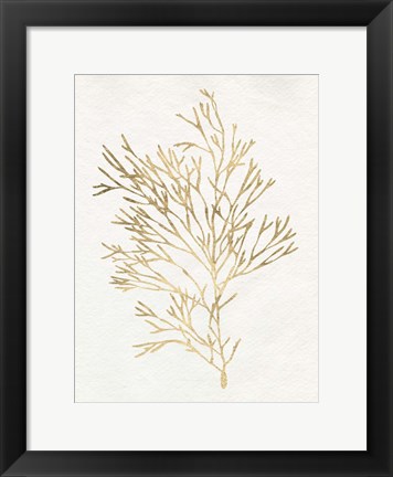 Framed Gilded Algae VII Print
