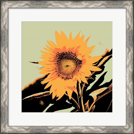 Framed Pop Art Sunflower II Print