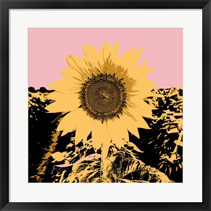 Framed Pop Art Sunflower III Print