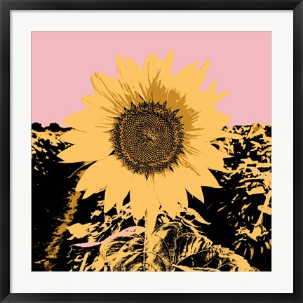 Framed Pop Art Sunflower III Print