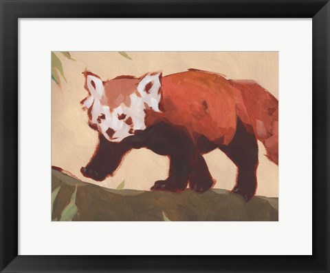 Framed Red Panda II Print