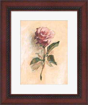 Framed Painterly Rose Study II Print