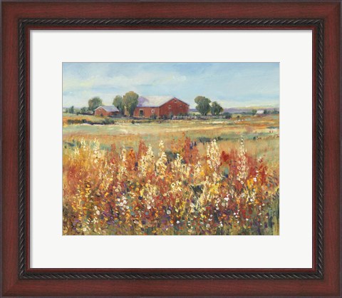 Framed Country View II Print