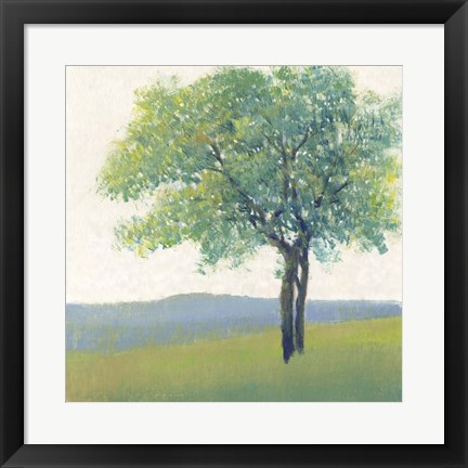 Framed Solitary Tree II Print