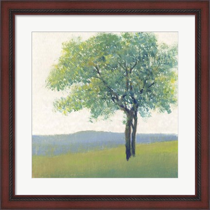 Framed Solitary Tree II Print