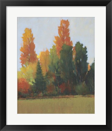Framed Fall Colors I Print