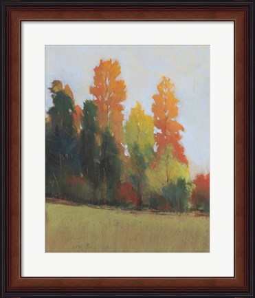Framed Fall Colors II Print