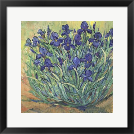 Framed Irises in Bloom I Print