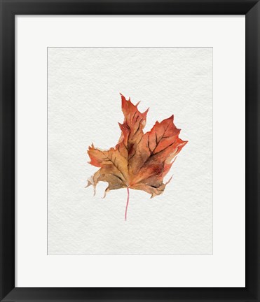 Framed Watercolor Autumn Leaf II Print